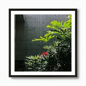 Nature Petiole Art Sunshine Black Up High Overlay Concrete Shadowy Floral Light Natural (11) Art Print