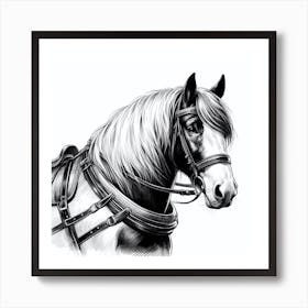 Horse Drawing 3 Art Print