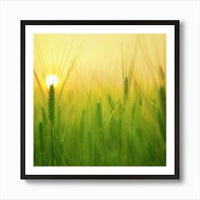 Sunrise Over A Wheat Field Art Print