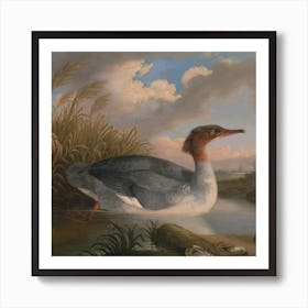 Duck In The Water Art Print