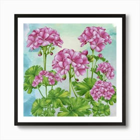 Pink Geraniums Art Print