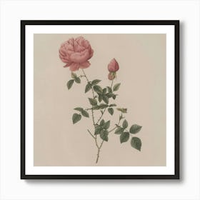 Roses On A Branch 3 Art Print