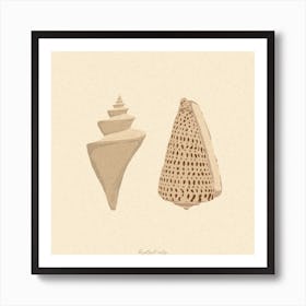 Couple Of Seashells Square Art Print