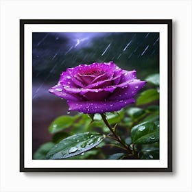 Purple Rose In Rain Art Print