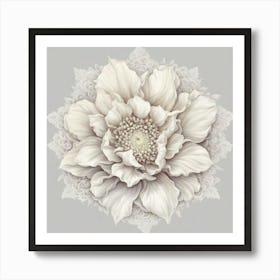 White Peony Art Print