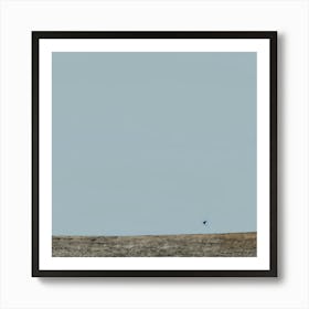 Bird In The Sky Art Print