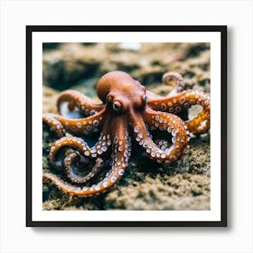 Octopus 11 Art Print