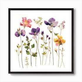 Dried Wild Flowers 15 Art Print