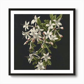 Azaleas Art Print