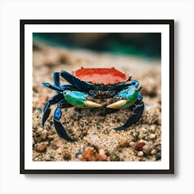 Blue Crab On Sand Art Print