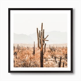 Cactus Desert Landscape Square Art Print