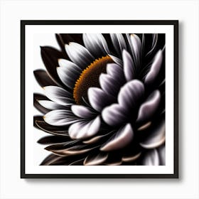 Black And White Daisy Art Print