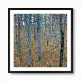 Birch Forest Art Print