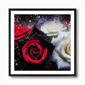 Beautiful red, white and black roses 2 Art Print