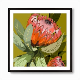 Protea On Green Square Art Print