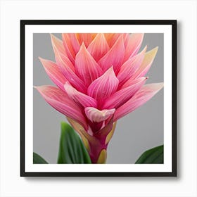 Hawaiian Flower Art Print