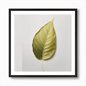 Leaf Stock Art Print