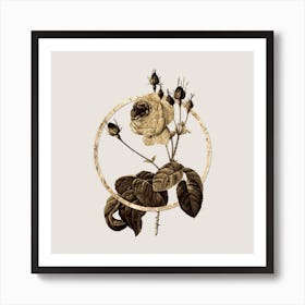 Gold Ring Cabbage Rose Glitter Botanical Illustration Art Print