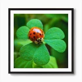 Ladybird on Clover Art Print