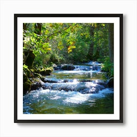 Stream In The Forest Art Print