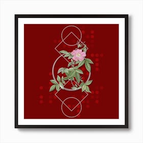 Vintage Pink Boursault Rose Botanical with Geometric Line Motif and Dot Pattern n.0028 Art Print
