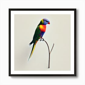 Lorikeet 1 Art Print