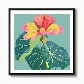 Nasturtium 3 Square Flower Illustration Art Print