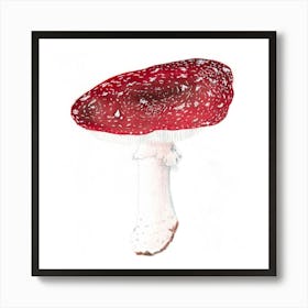 Red Mushroom in Watercolor Art Print