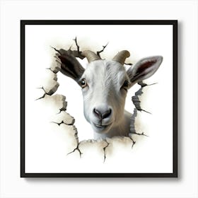 Goat Peeking Through A Hole 2 Art Print