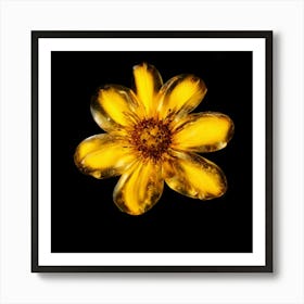 Yellow Flower Art Print