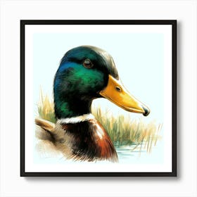 Duck Head Color Drawing - Wild Bird Artwork 130 Art Print