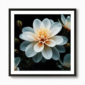 White Dahlia Flower 2 Art Print