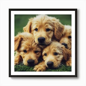 Golden Retriever Puppies 2 Art Print