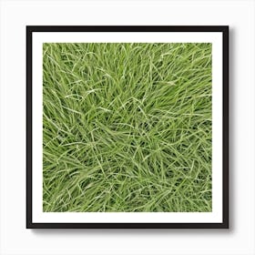 Grass Background 31 Art Print
