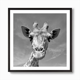 Giraffe Face Art Print
