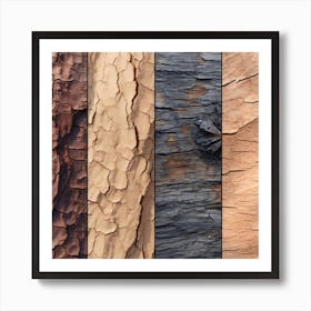 Tree Bark Texture 1 Art Print