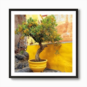 Olive Tree In Yellow (Ii) Art Print