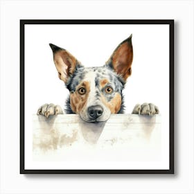 Australian Cattle Dog 7 Art Print