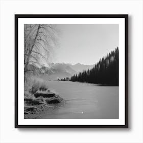 Black And White Art Print