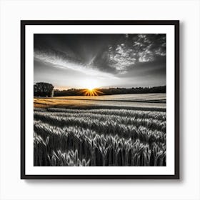 Sunset In The Field 21 Art Print