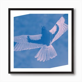 Bird In Flight Art Print