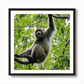 Monkey In Tree 2 Art Print