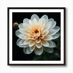 Dahlia 5 Art Print