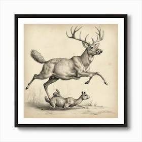 Deer And A Doe Art Print