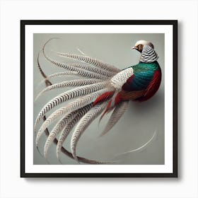 Pheasant 1 Art Print