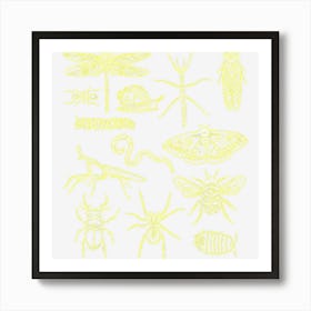 Minibeasts Insects And Invertebrates Drawings Art Print