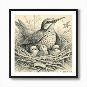 bird Family Affiche