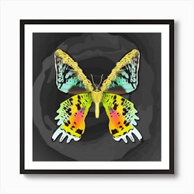 Mechanical Butterfly Urania Ryphaeus On A Dark Gray Background Art Print