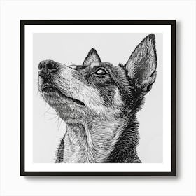 Canaan Dog Line Sketch 3 Art Print