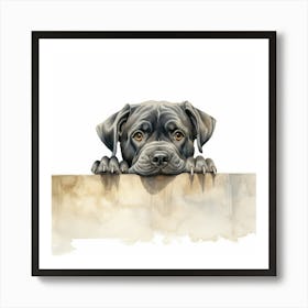 Black Dog Peeking Over The Wall Art Print